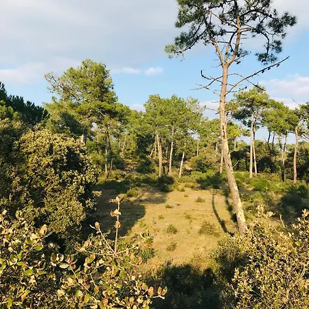 Apartment Les Demoiselles, Emplacement Ideal